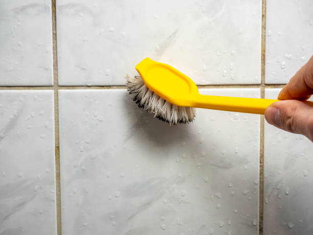 Best Water Damage Restoration  in Eatonville, WA