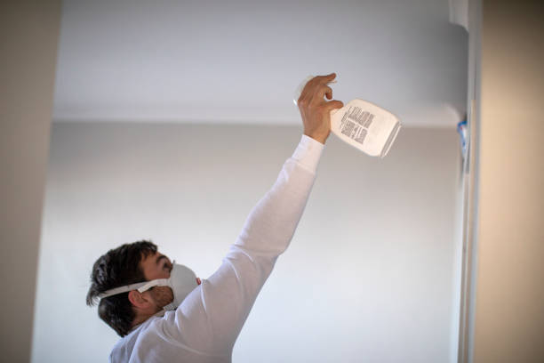 Office Mold Removal Services in Eatonville, WA