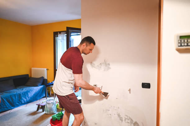 Best Mold Cleaning Services  in Eatonville, WA