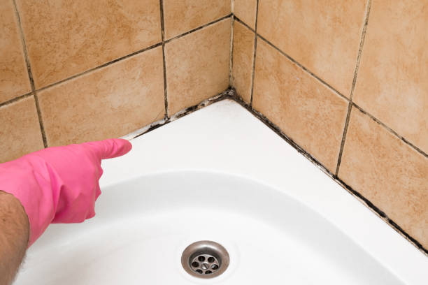 Best Mold Testing  in Eatonville, WA